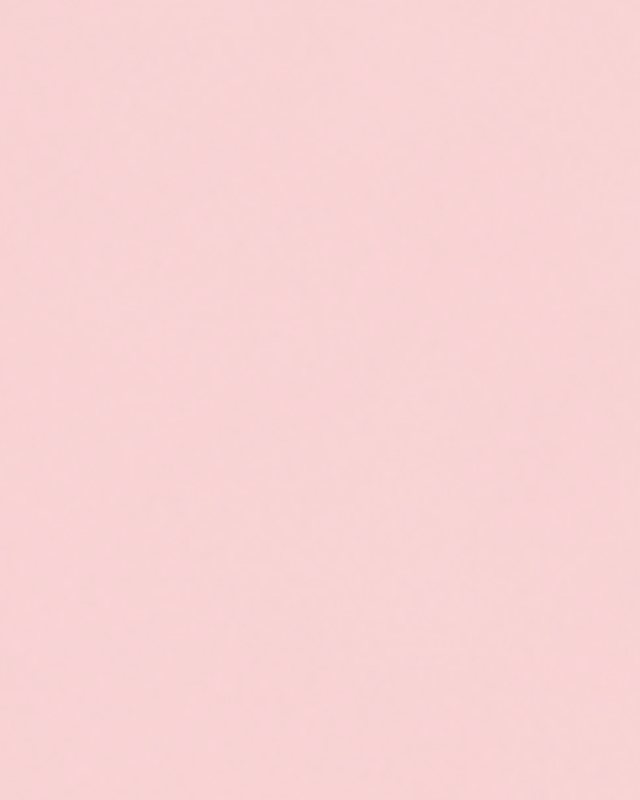 Soft solid blush seamless backdrop.