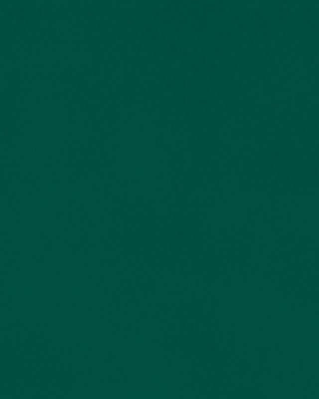 Deep solid emerald seamless backdrop.